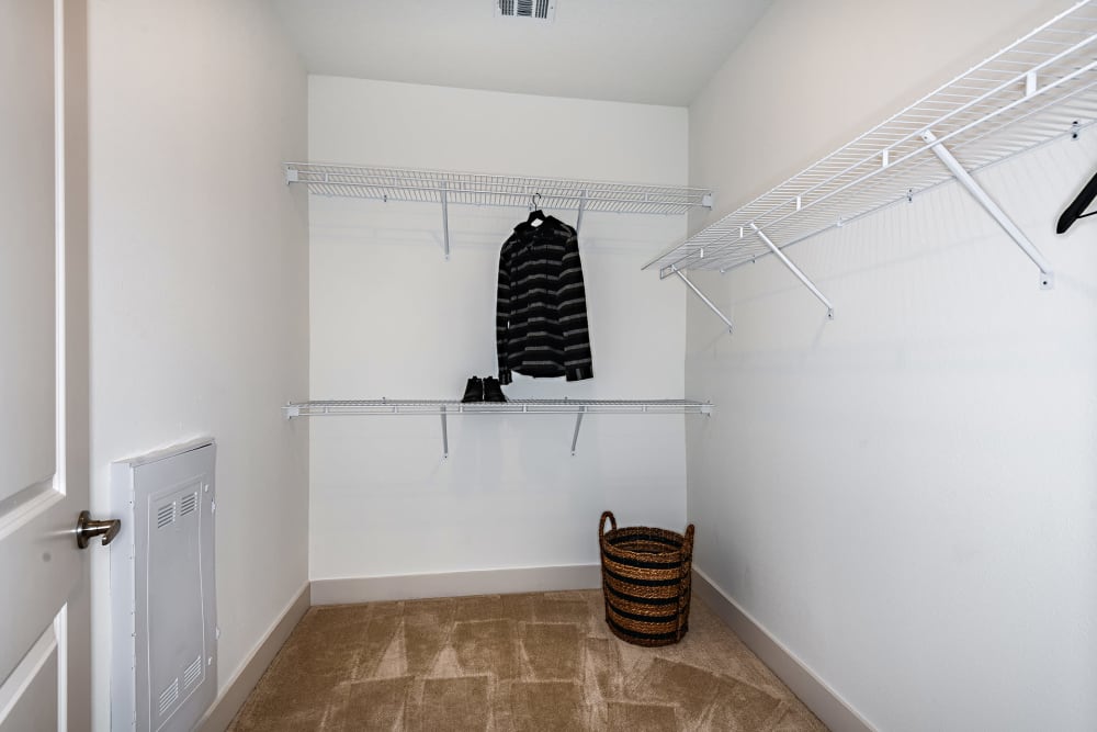 Walk-in closet at Olympus Preserve at Town Center in Jacksonville, Florida
