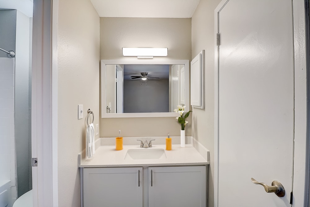 Our Apartments in Benbrook, Texas offer a Bathroom