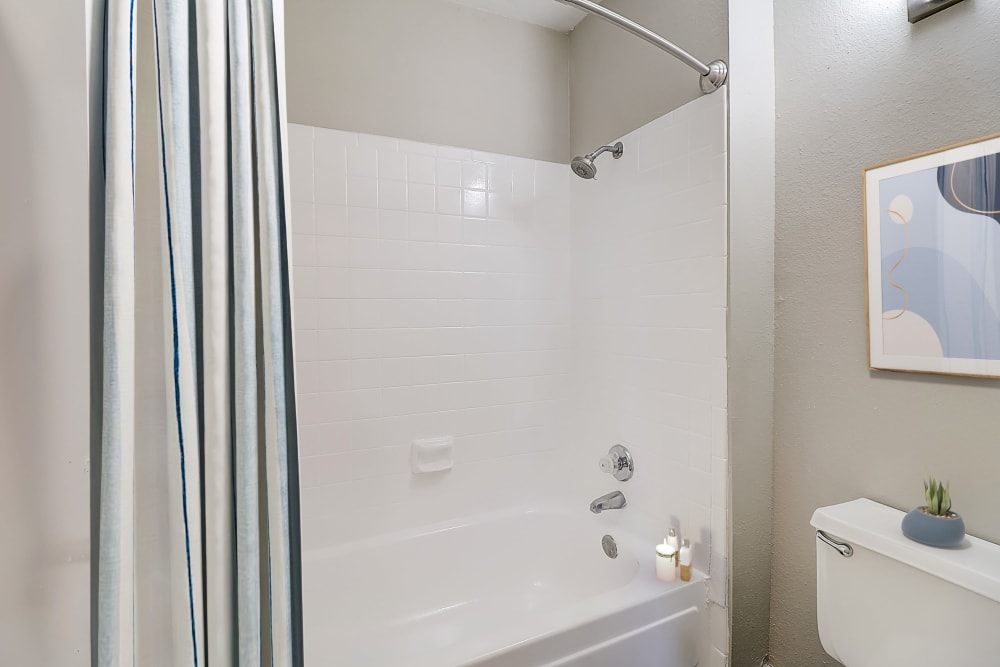 Our Luxury Apartments in Benbrook, Texas showcase a Bathroom