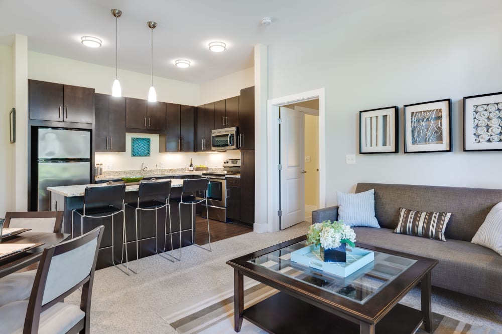 Modern living room with soft carpet at Arcadia at Rivers Edge in Medford, Massachusetts