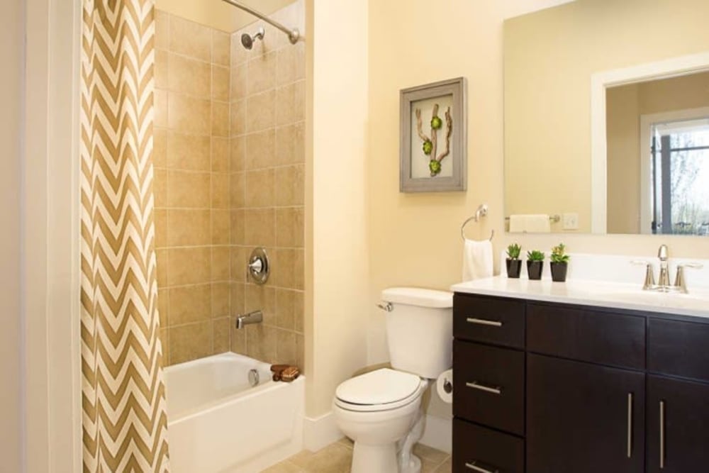 Master bathroom in a unit at Arcadia at Rivers Edge in Medford, Massachusetts
