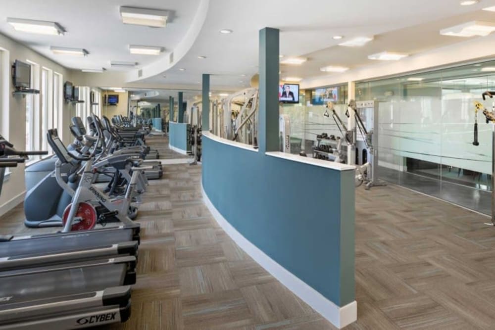 Resident gym with a row of treadmills at Arcadia at Rivers Edge in Medford, Massachusetts