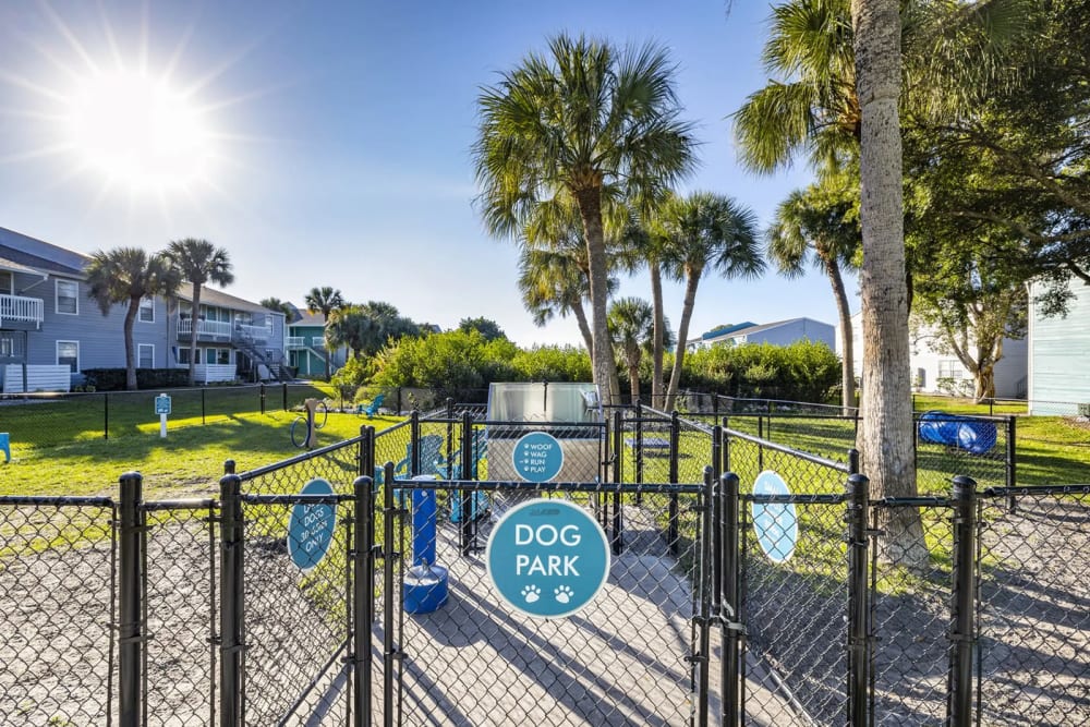 A convenient on-site dog park for your furry companion at The Delmar in Tampa, Florida