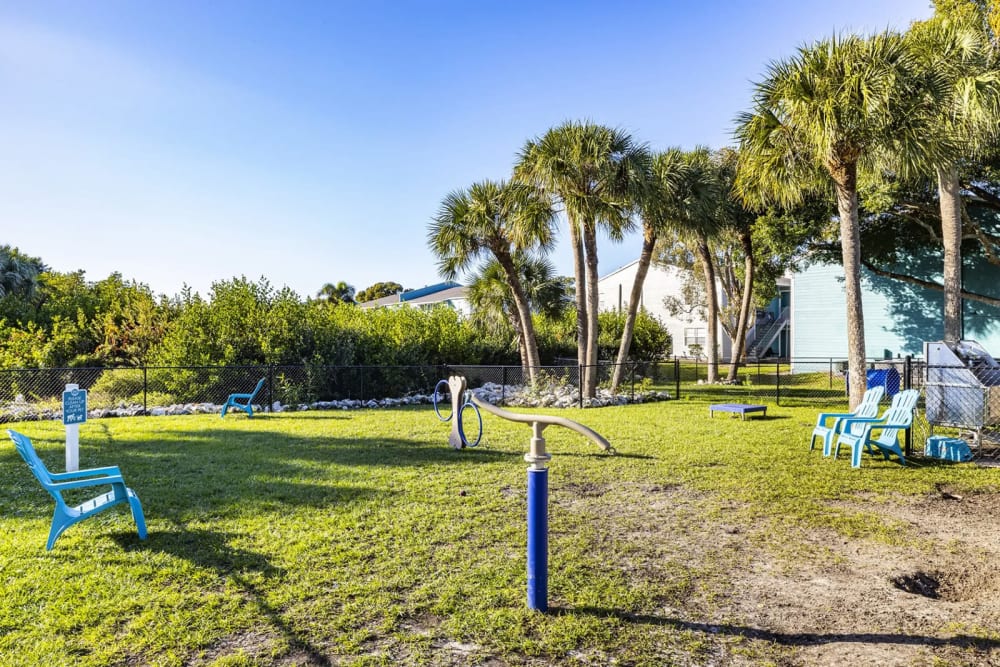 Our on-site dog park at The Delmar in Tampa, Florida