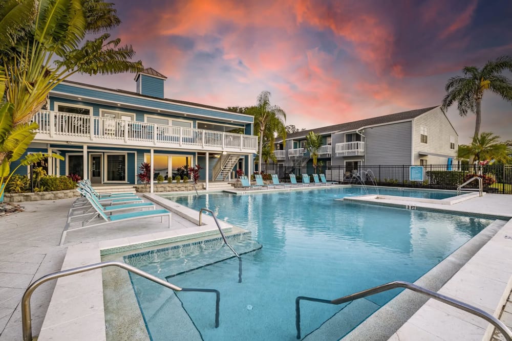 Relax in our swimming pool during a beautiful sunset at The Delmar in Tampa, Florida