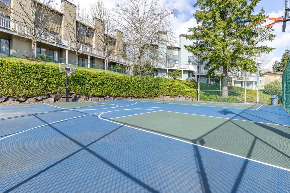 Outdoor basketball court on a beautiful day at The Knoll Redmond in Redmond, Washington