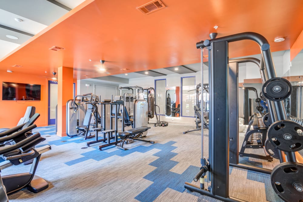 Fitness center with equipment at 5 Points Northshore in Chattanooga, Tennessee