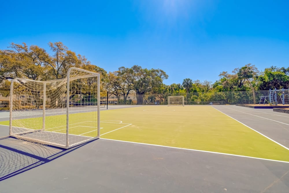 Outdoor soccer field at Reserve at Lake Pointe Apartments & Townhomes in St Petersburg, Florida