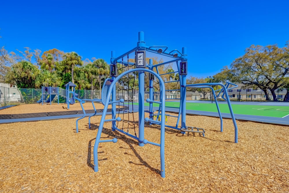 Playground at Reserve at Lake Pointe Apartments & Townhomes in St Petersburg, Florida