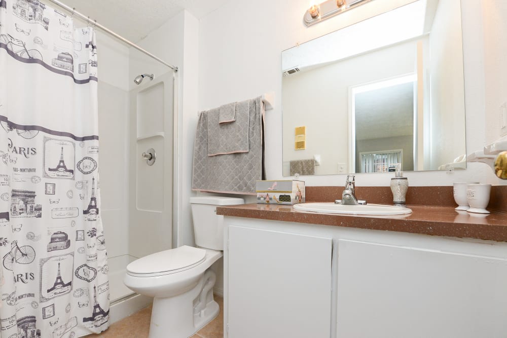 Updated bathroom at Reserve at Lake Pointe Apartments & Townhomes in St Petersburg, Florida