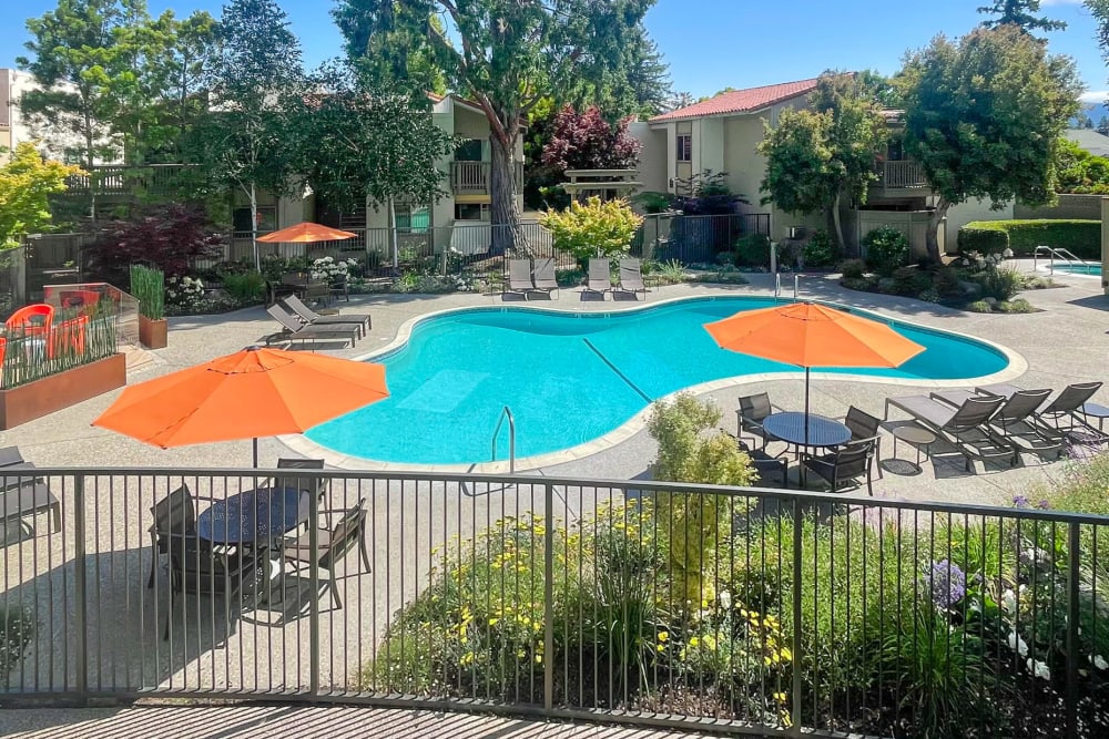 Resort-style swimming pool at Spring Creek Apartments in Santa Clara, California