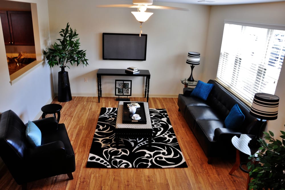 Model living space with a large rug at Park Terrace in High Point, North Carolina