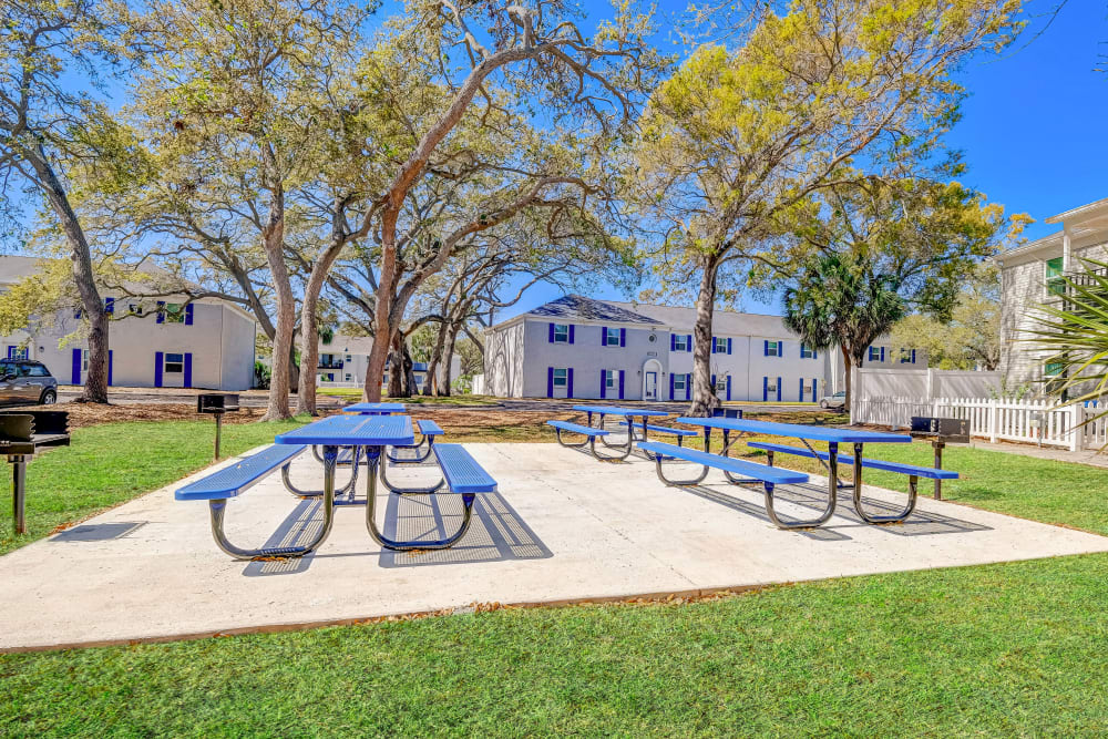 Outdoor picnic and grilling area at Reserve at Lake Pointe Apartments & Townhomes in St Petersburg, Florida