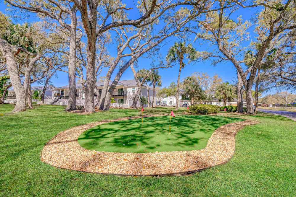Putting green at Reserve at Lake Pointe Apartments & Townhomes in St Petersburg, Florida