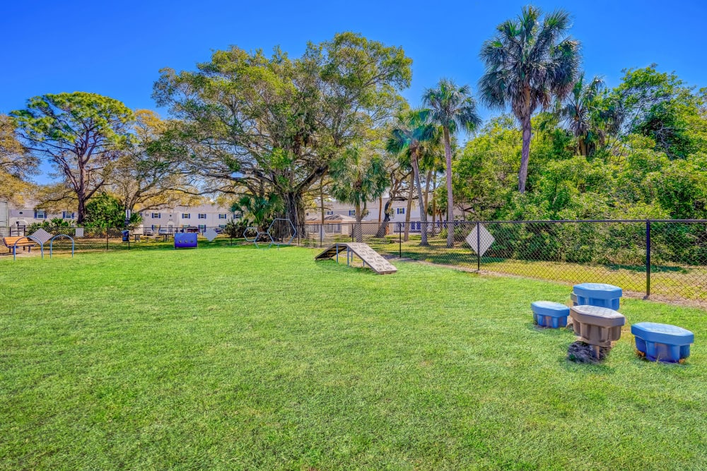 Dog park at Reserve at Lake Pointe Apartments & Townhomes in St Petersburg, Florida