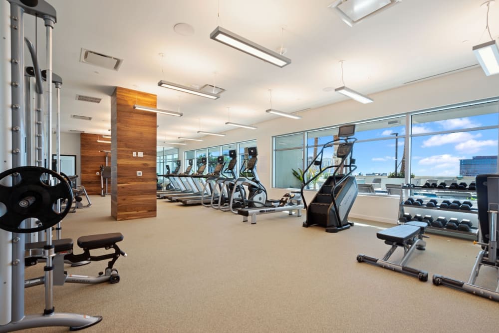 Rendering fitness center at Parkline Palm Beaches in West Palm Beach, Florida