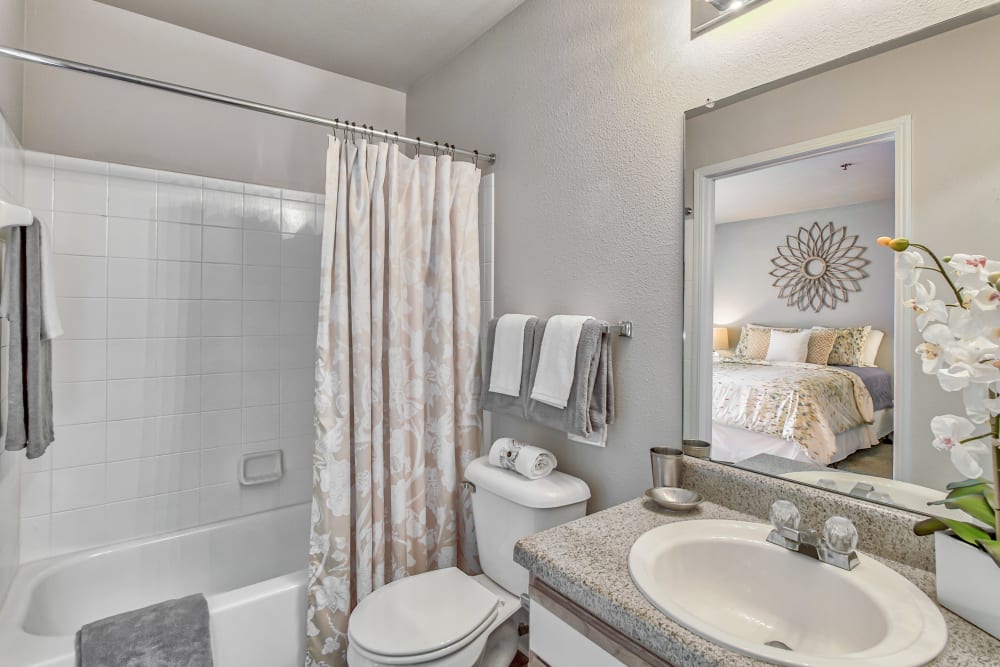 Our Luxury Apartments in Castle Rock, Colorado showcase a Bathroom