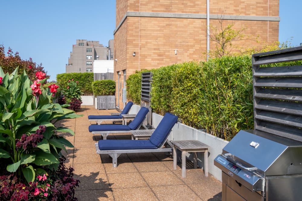 Rooftop deck with lounge chairs at The Sierra Chelsea in New York, New York