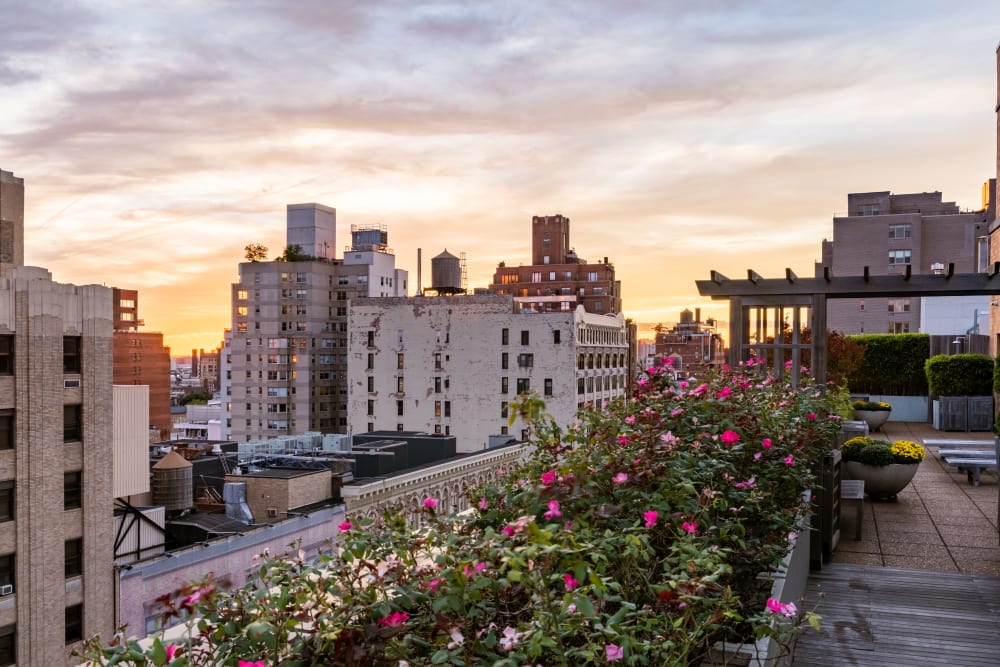Rooftop deck with flowers at The Sierra Chelsea in New York, New York