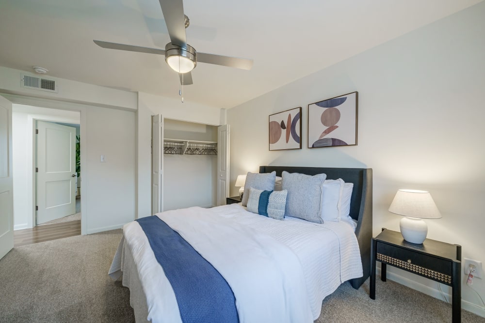 Beautiful Bedroom at ibex Park in Smyrna, Georgia