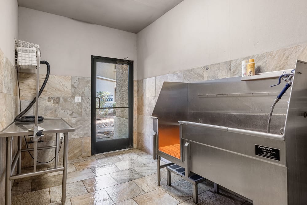 Pet Grooming Station at Marquis at Barton Trails in Austin, Texas