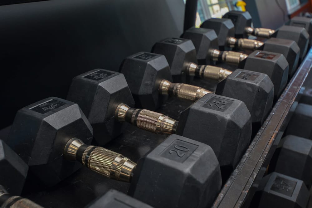 Free weights at Aspen Court, Piscataway, New Jersey