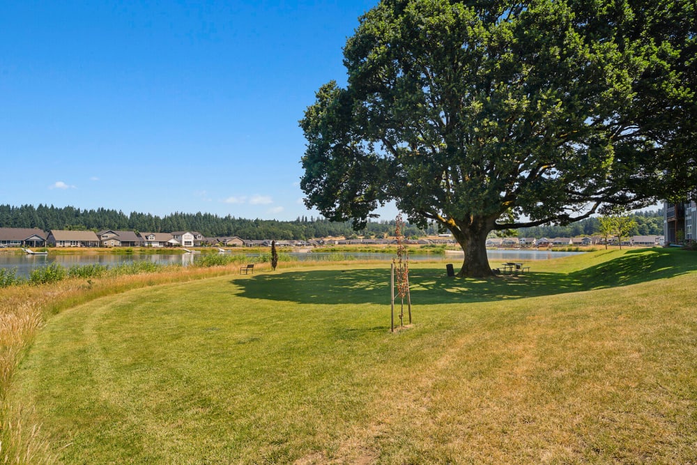 Greenfield in Turner, Oregon