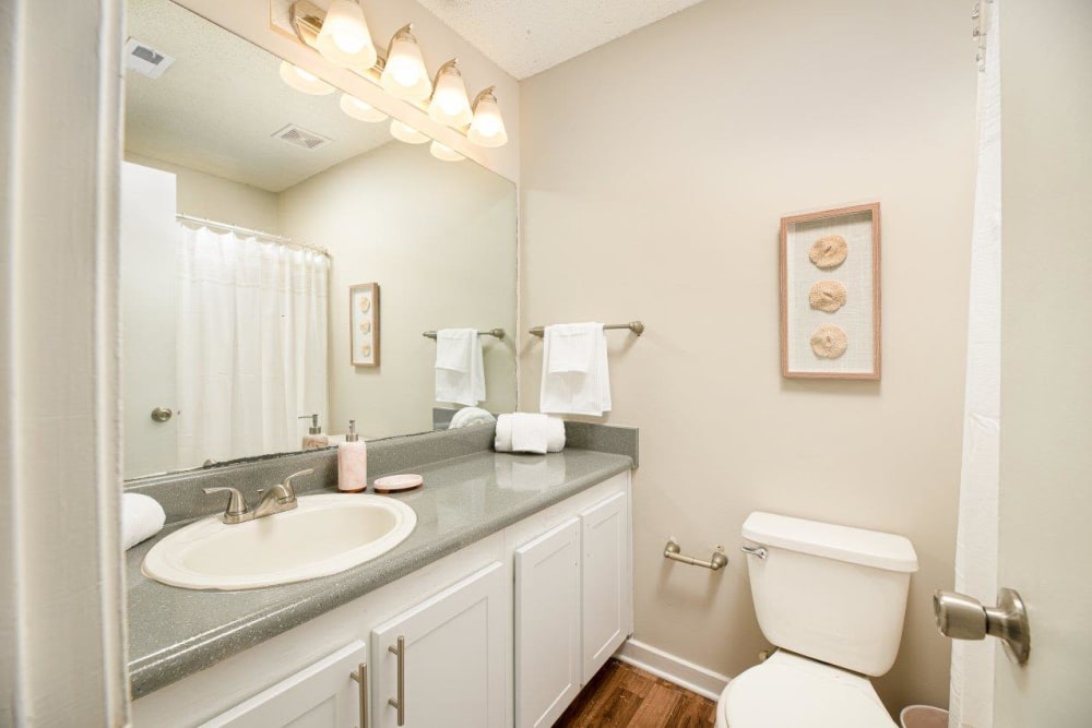 Apartment bathroom at Southwind Apartments in Richland, Mississippi