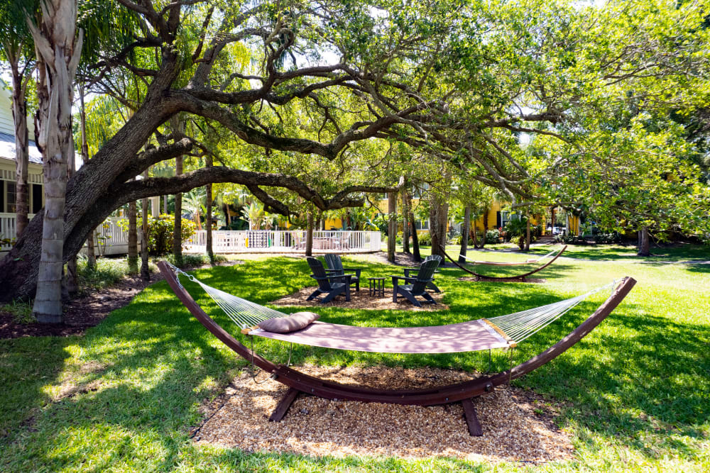 An outdoor hammock underneath a tree at Mode at Ballast Point in Tampa, Florida
