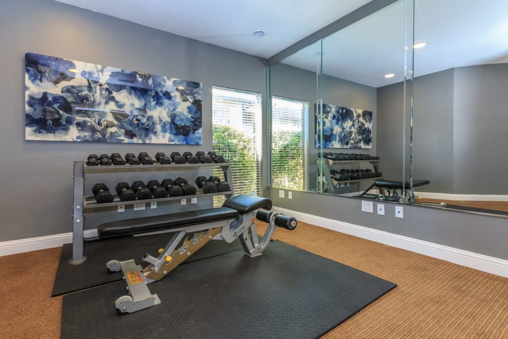 Weights in the fitness center at Tides at Highland Meadows in Dallas, Texas