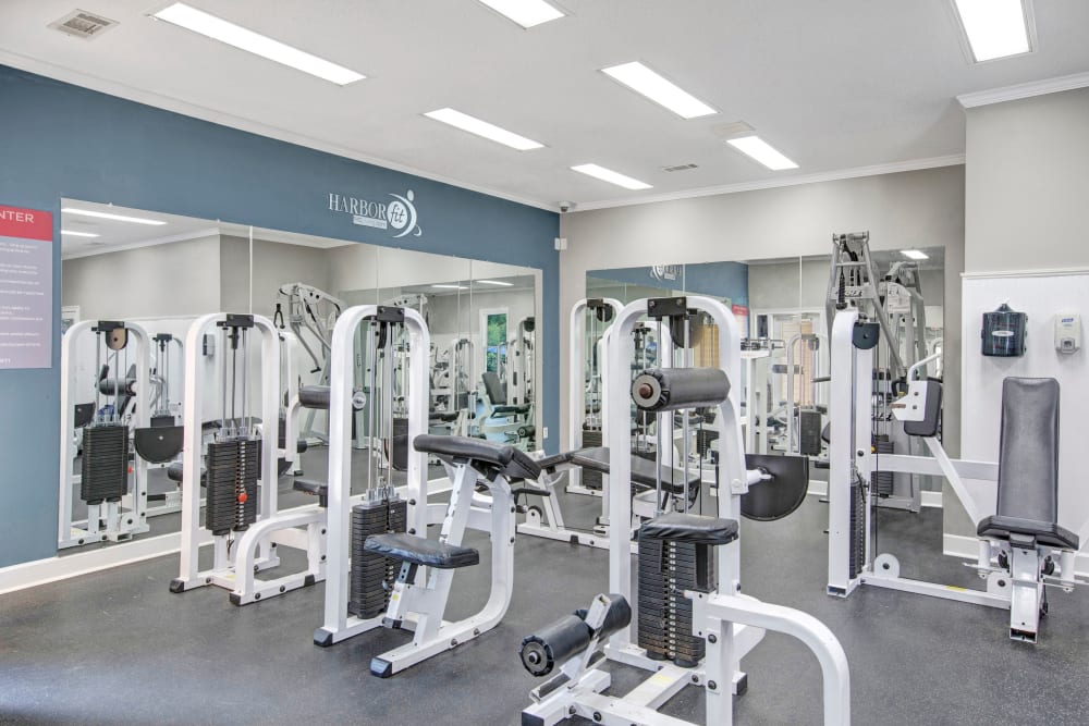 Fitness Center at Amber Chase Apartment Homes in McDonough, Georgia
