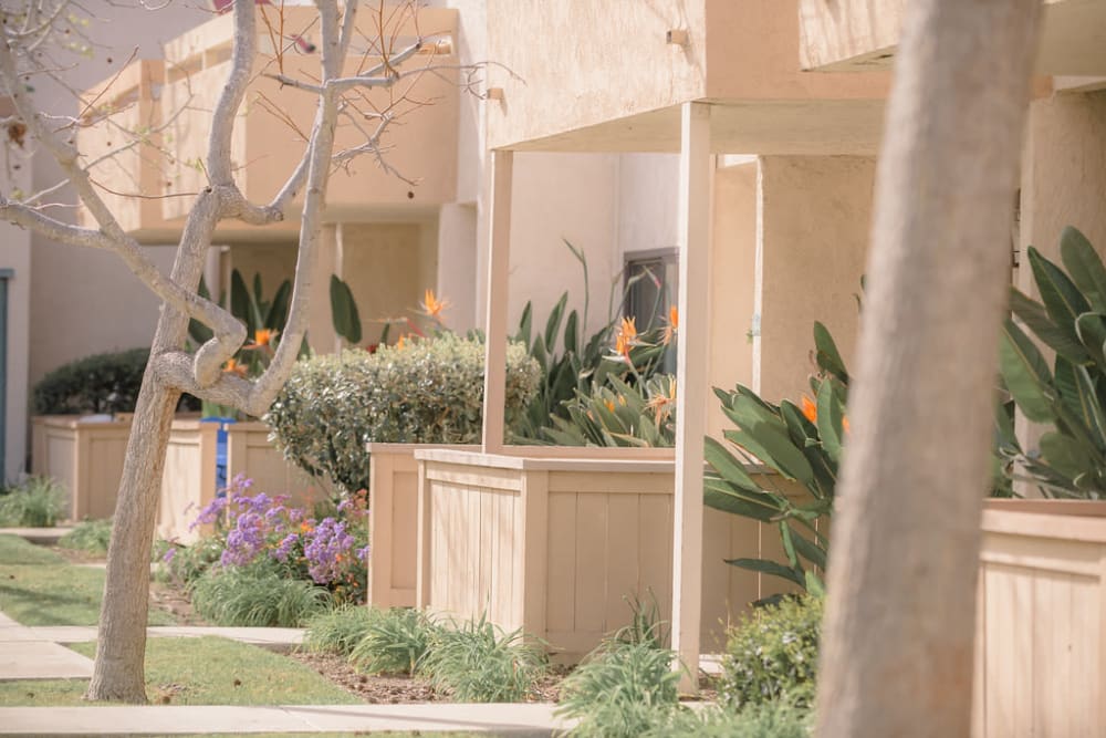 back porches at Wallace Court Apartments in Costa Mesa, California