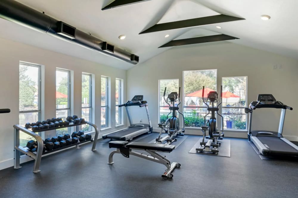 Modern gym fitness room with large windows and treadmills  