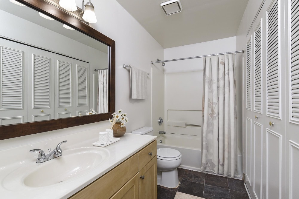 bathroom at Stonegate Apartments, Elkton, Maryland