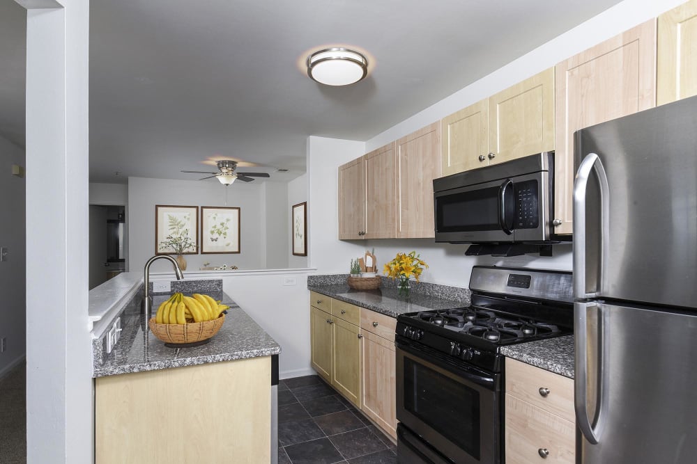 kitchen at Stonegate Apartments, Elkton, Maryland