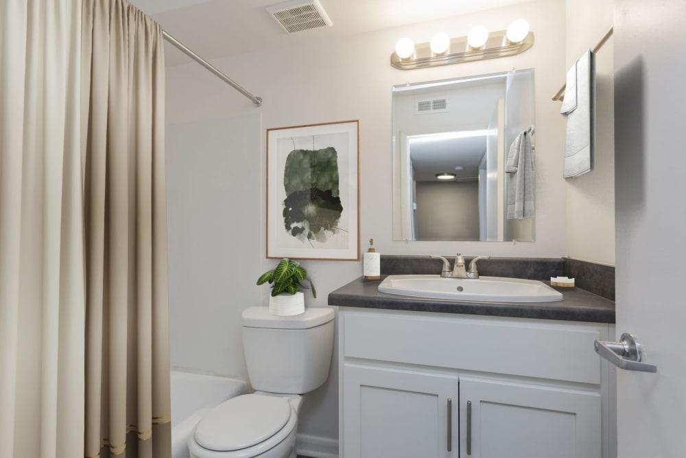 Bathroom with plush carpeting at Gibson Creek Apartments in Madison, Tennessee