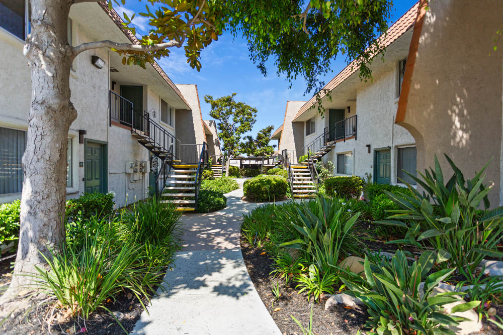 Outdoor walkways apartment entrances alongside and greenery all around on a sunny day at Terra Camarillo in Camarillo, California