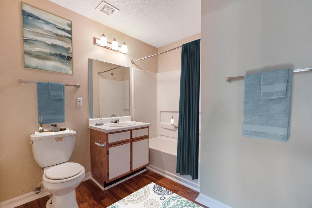 Bathroom with shower and bath at The Cove at Cloud Springs Apartment Homes in Fort Oglethorpe, Georgia