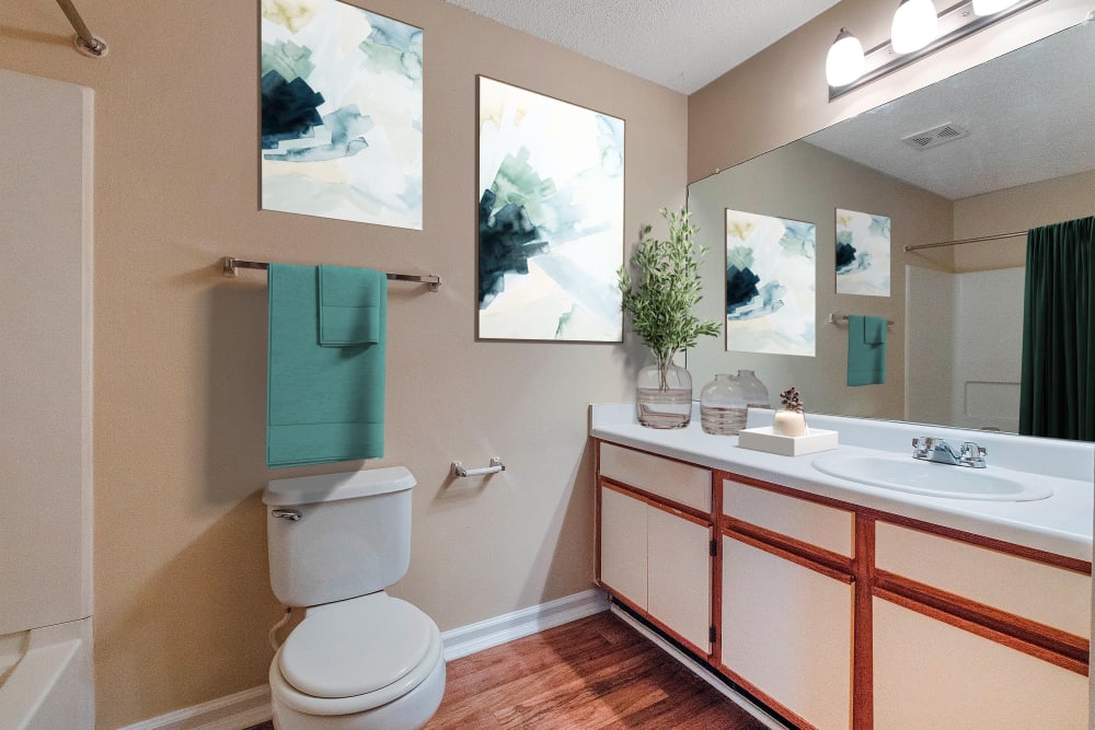 Bathroom with large mirror at The Cove at Cloud Springs Apartment Homes in Fort Oglethorpe, Georgia