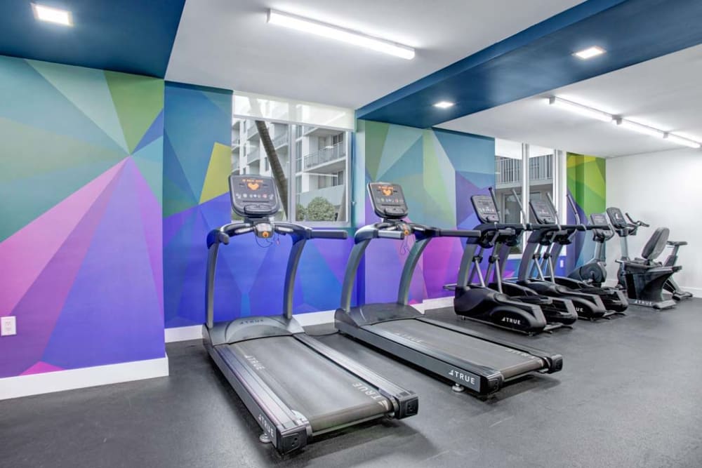 Fitness Area at Apartments in Miami, Florida