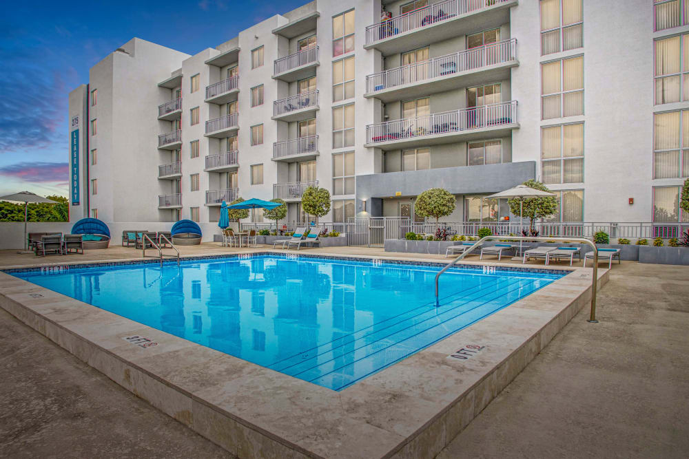 Swimming Pool at Apartments in Miami, Florida