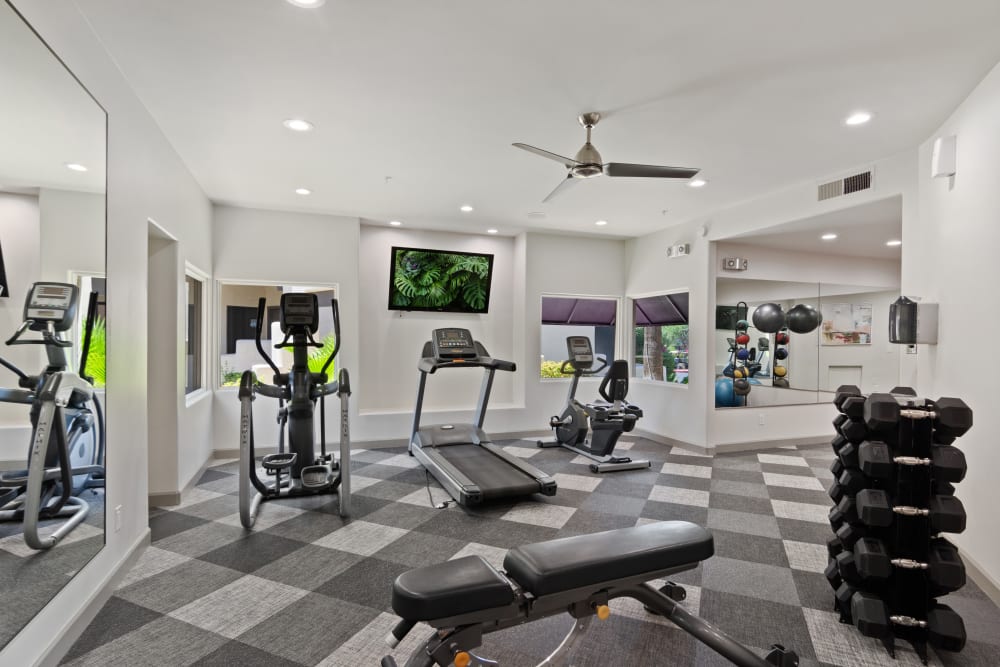 Fitness center featuring modern workout equipment at Casa Santa Fe Apartments in Scottsdale, Arizona