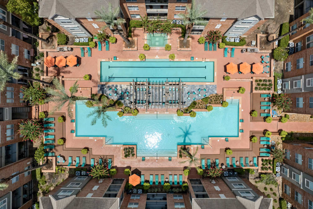 Resort style pool with palm trees at Marquis on Pin Oak in Houston, Texas