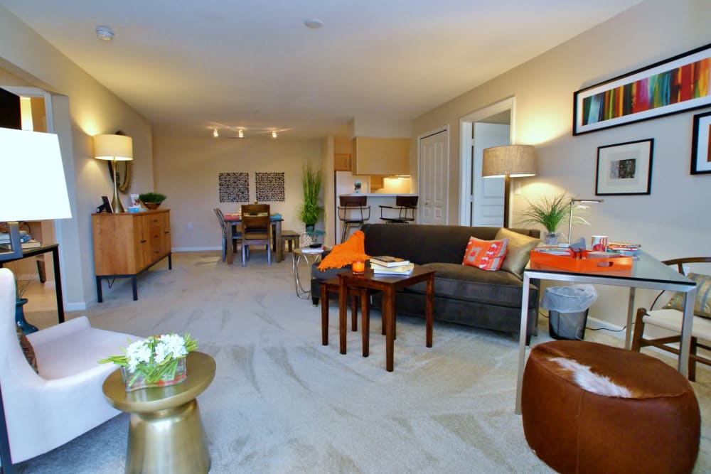 Expansive living room of a model apartment with wall-to-wall plush carpeting at Arbor Brook in Murfreesboro, Tennessee