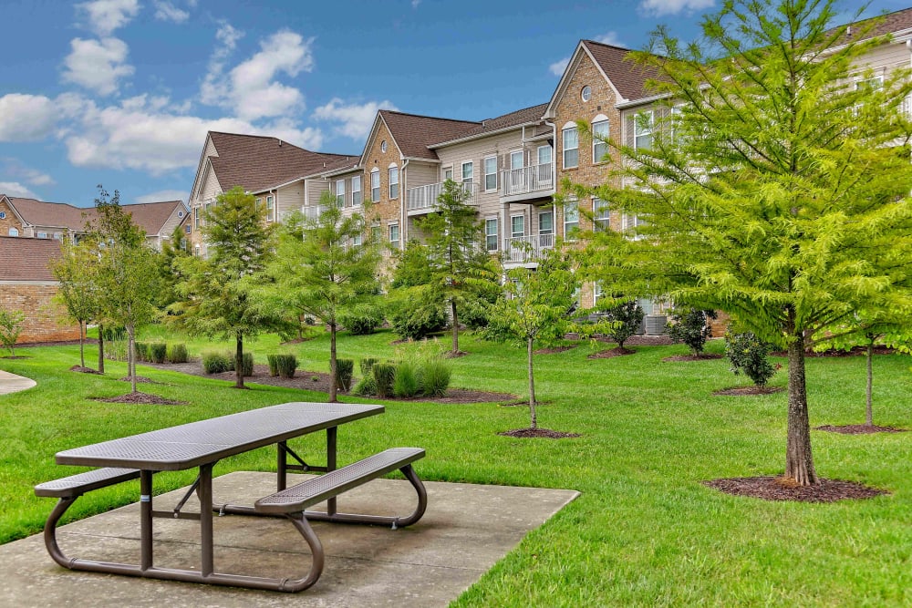 Picnic table and park-like grounds at Arbor Brook in Murfreesboro, Tennessee