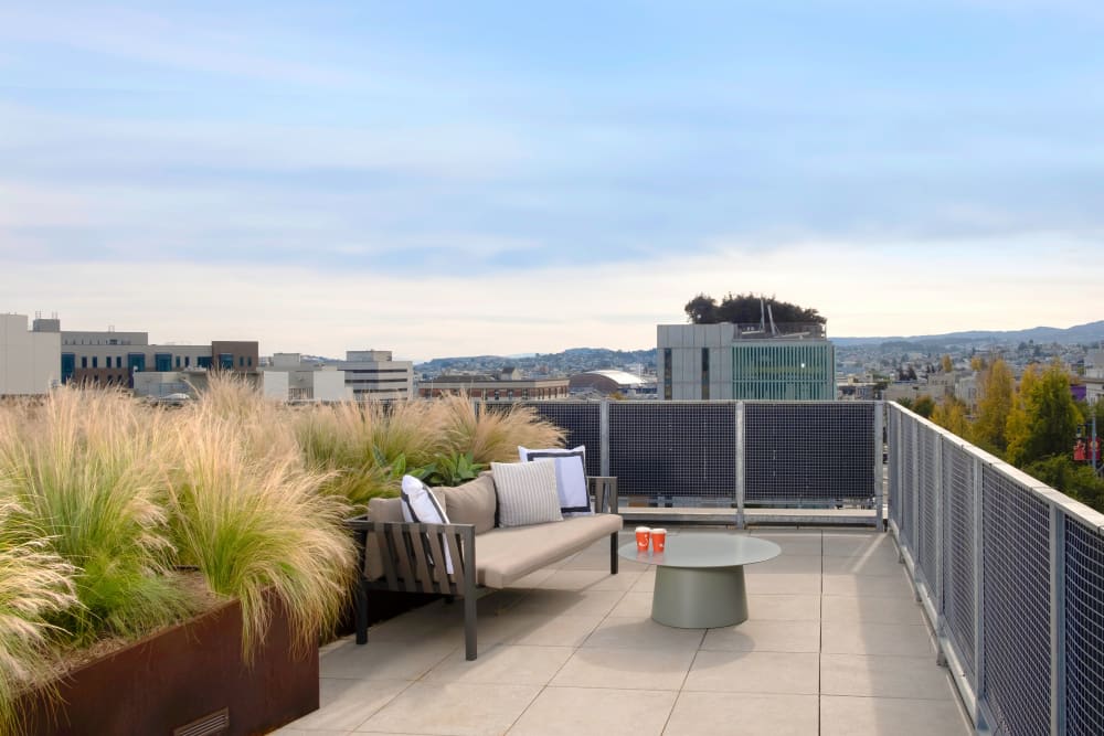 Rooftop deck at 188 Octavia in San Francisco, California