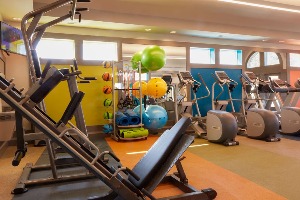 Weight machines and cardio equipment at Lakeside Terraces in Sterling Heights, Michigan