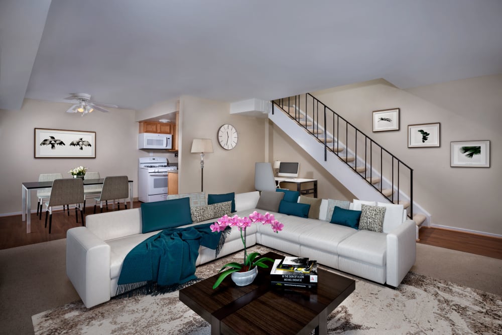 Renovated living room at apartments in Washington, District of Columbia