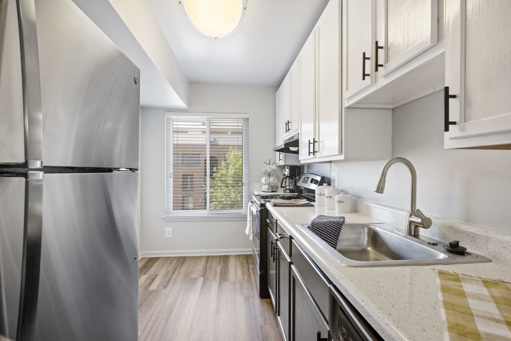 Renovated Kitchen