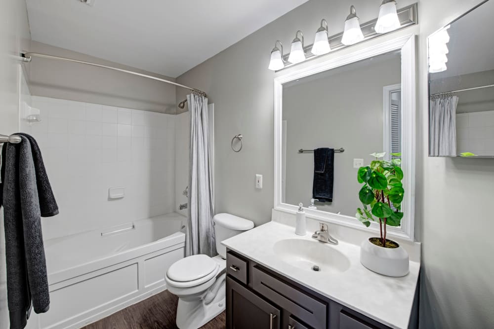 Bathroom at Apartments in Herndon, Virginia